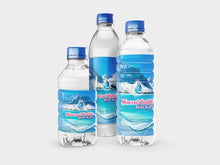 Load image into Gallery viewer, Free Glossy Mineral Bottles Mockups