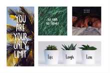 Load image into Gallery viewer, Free Trofican Handwriting
