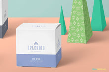 Load image into Gallery viewer, Free Paper Box Mockup PSD

