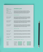 Load image into Gallery viewer, Free CV Resume Template in Photoshop (PSD) and Illustrator (AI) Format
